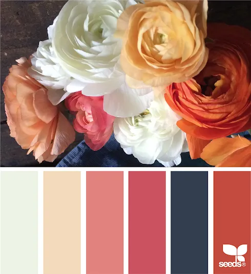 Colorido