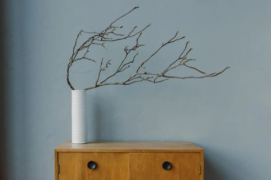 Estilo Decorativo VI · Mid-Century